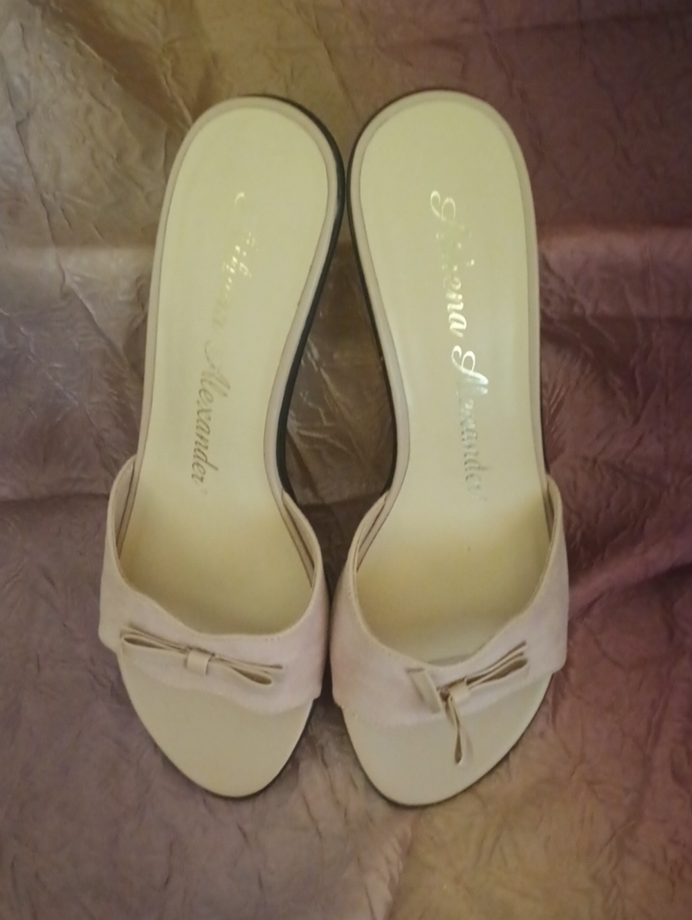 Athena Alexander Elegant Women’s Slide Heels - Blush Pink with 3.0 black heel.